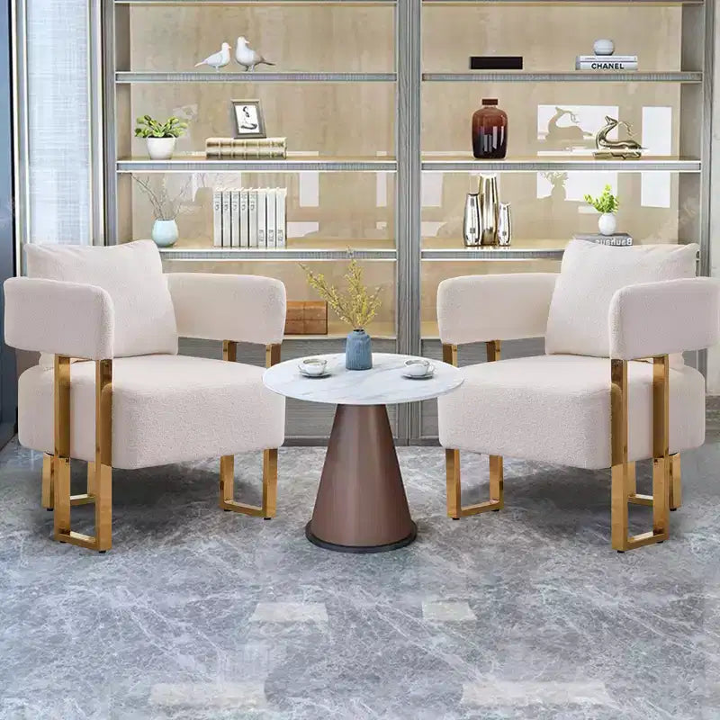 Modern Accent Chairs Set of 2 with Teddy Fleece Upholstered & Gold Metal Legs